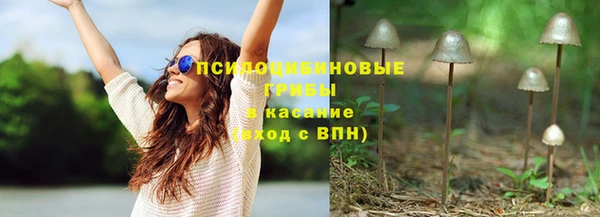 мяу мяу мука Абдулино