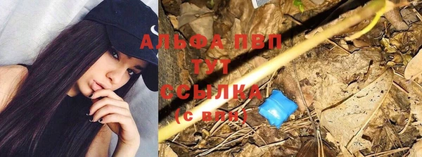 СК Абаза