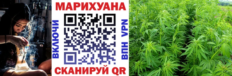 Бошки Шишки Ganja Грозный